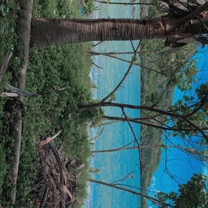 Meet your Posher, Aunie